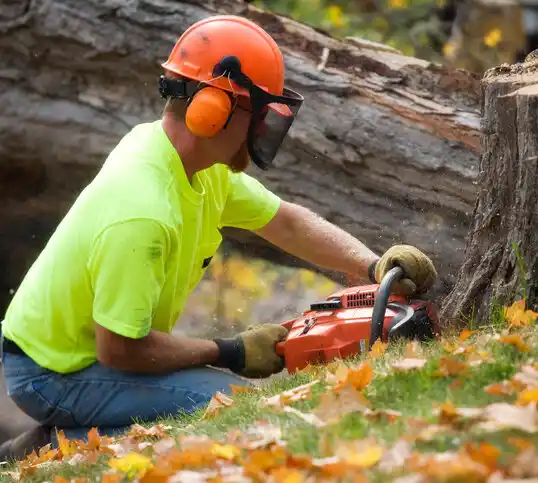 tree services Battle Lake